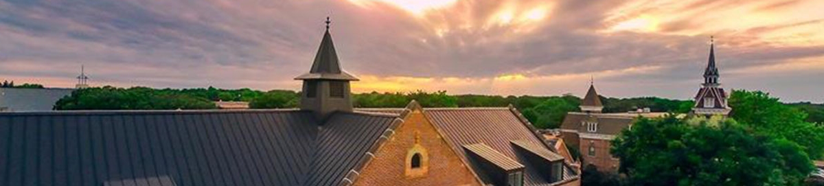 Banner Image For Martin Luther College