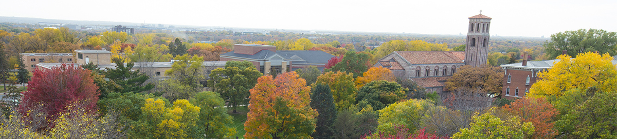 Banner Image For St. Catherine University